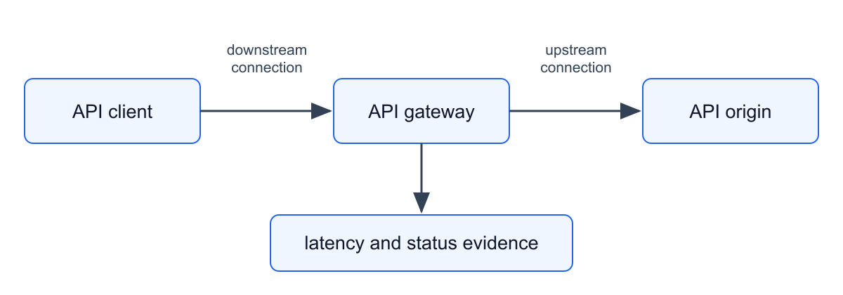 Two separate connection pools: API client to API gateway to API origin; the gateway also produces latency and status evidence.