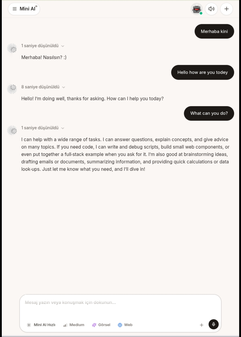 Chat Interface