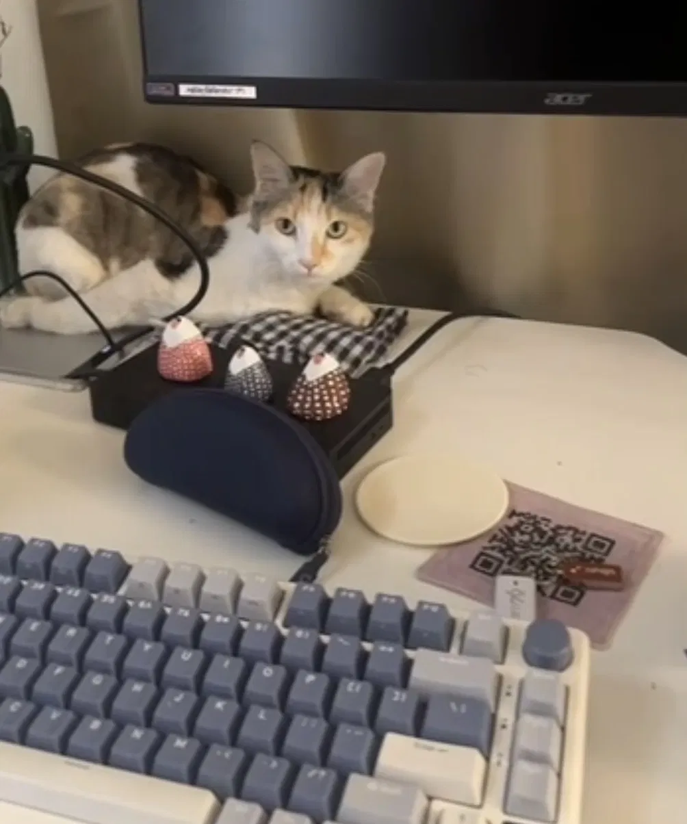 A calico cat lying on a desk behind a monitor, watching the camera.