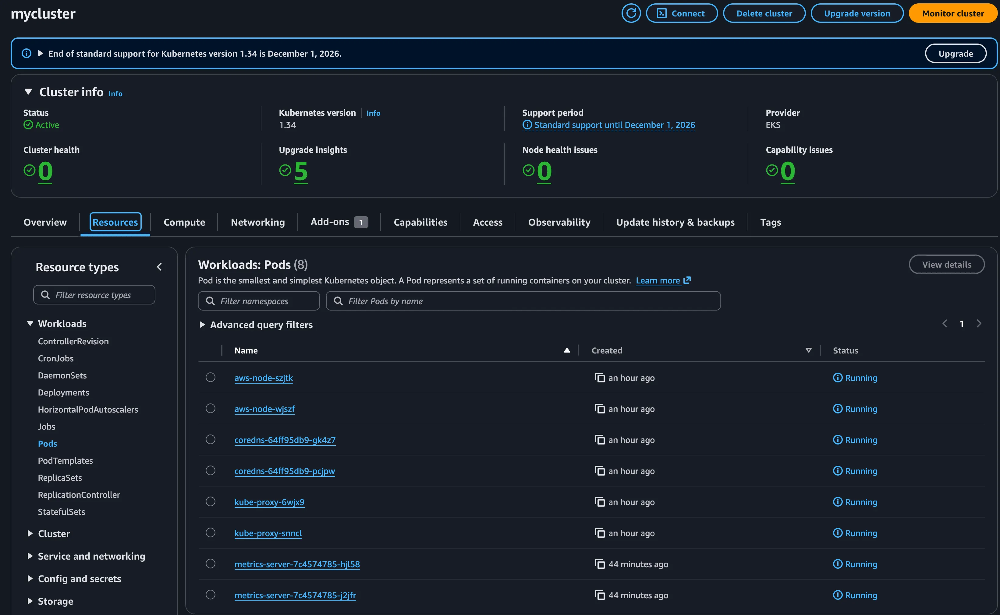 Figure 2: Viewing the newly deployed infrastructure sandbox directly inside the EKS AWS Console