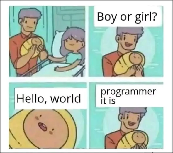 A four-panel comic. A father holds his newborn in a hospital room. Someone asks "Boy or girl?" The baby's face fills the next panel saying "Hello, world." The father replies, "programmer it is."