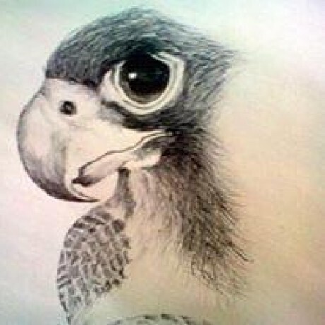 AdmilsonCossa