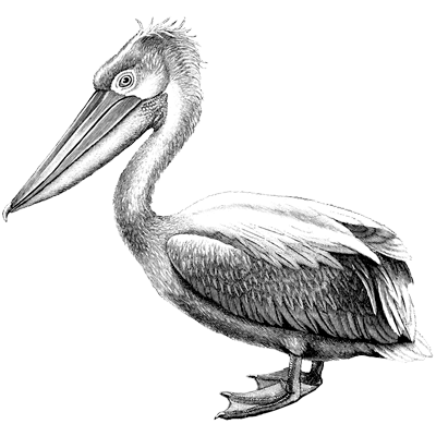 Haven Messenger
