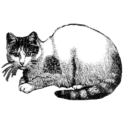 Casey Li