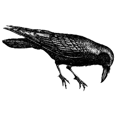 ReadmeForge
